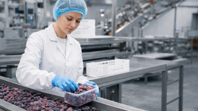 работа въе фабрика