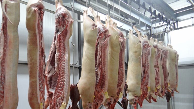 Опаковане на месо във фабрика в Англия