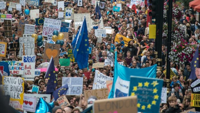 брекзит митинг